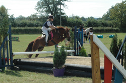 Show Jumping and Rustic Jumping