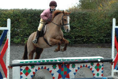 Pony Show Jumping