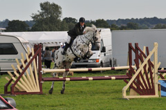 Cinna jumping at the Cricklade Show